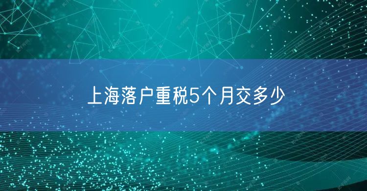 上海落户重税5个月交多少