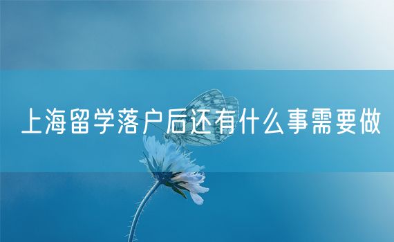 上海留学落户后还有什么事需要做