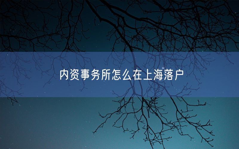 内资事务所怎么在上海落户