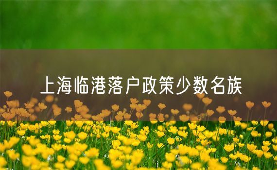 上海临港落户政策少数名族