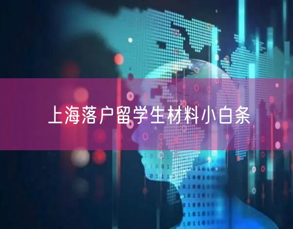 上海落户留学生材料小白条