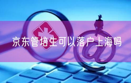 京东管培生可以落户上海吗