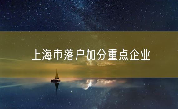 上海市落户加分重点企业