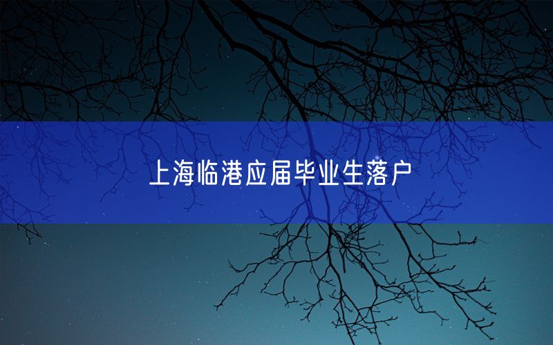 上海临港应届毕业生落户