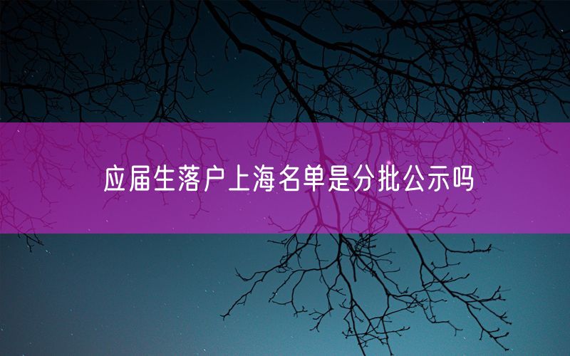 应届生落户上海名单是分批公示吗