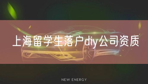 上海留学生落户diy公司资质