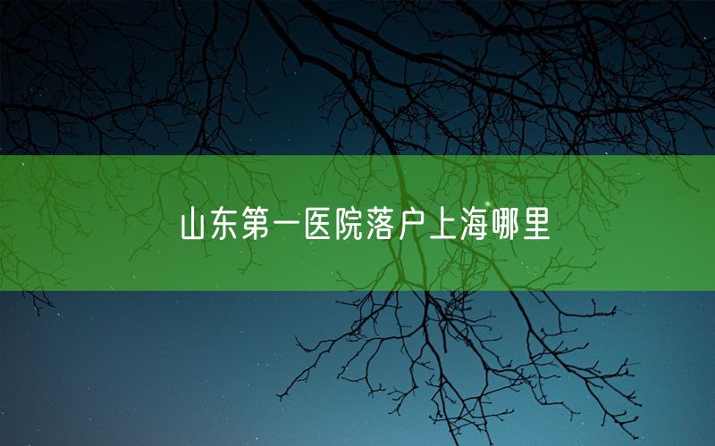 山东第一医院落户上海哪里