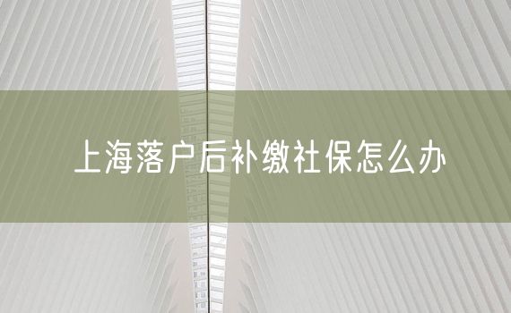 上海落户后补缴社保怎么办