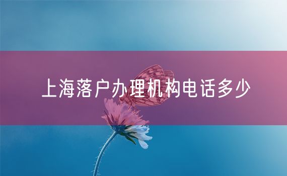 上海落户办理机构电话多少