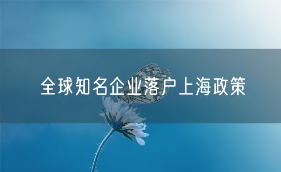 全球知名企业落户上海政策