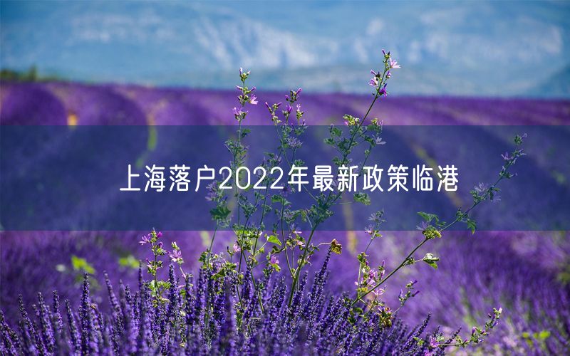 上海落户2022年最新政策临港