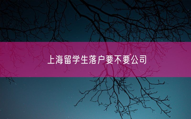 上海留学生落户要不要公司