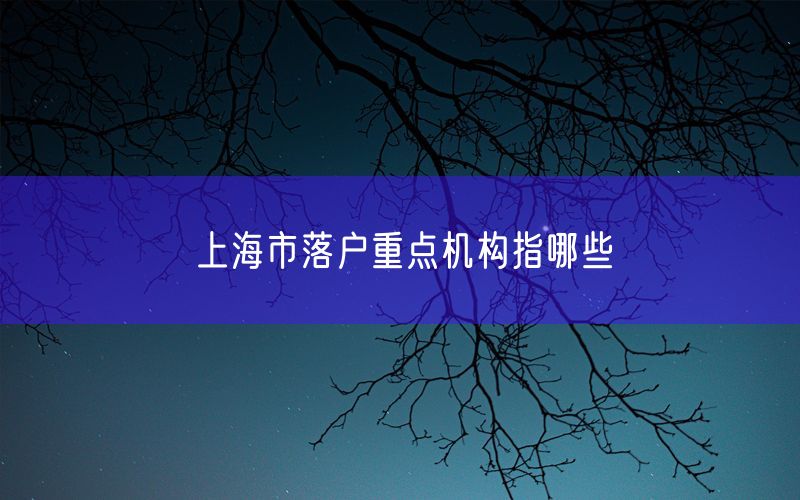 上海市落户重点机构指哪些