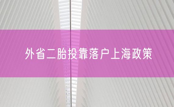 外省二胎投靠落户上海政策