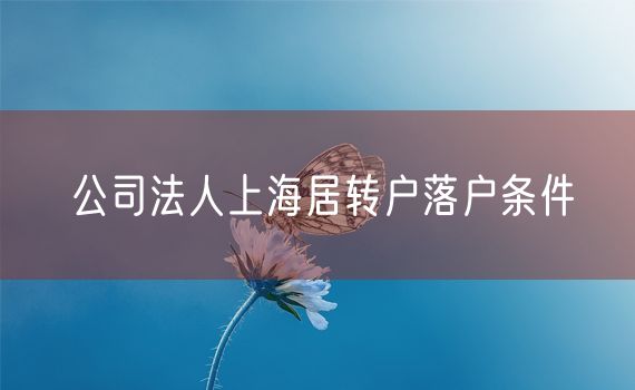 公司法人上海居转户落户条件