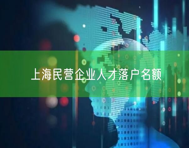 上海民营企业人才落户名额