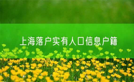 上海落户实有人口信息户籍