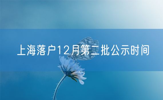 上海落户12月第二批公示时间