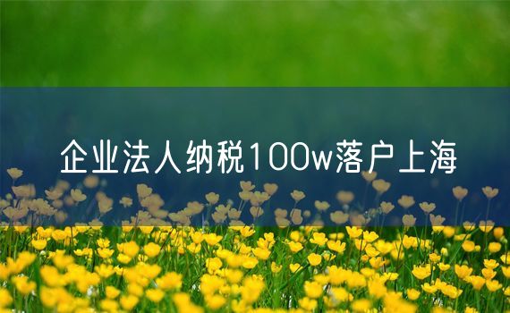 企业法人纳税100w落户上海