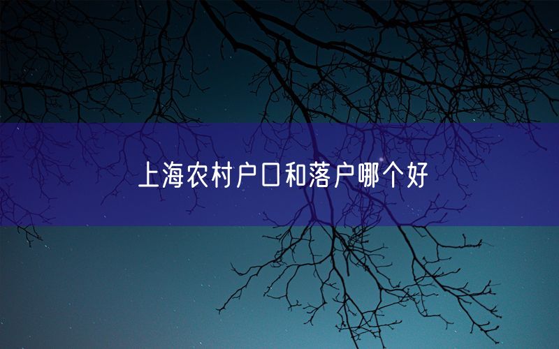 上海农村户口和落户哪个好