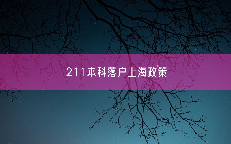 211本科落户上海政策