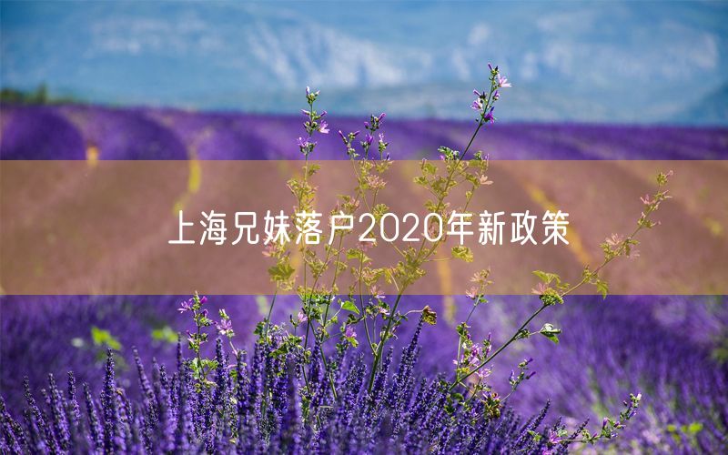 上海兄妹落户2020年新政策