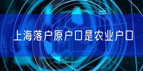 上海落户原户口是农业户口