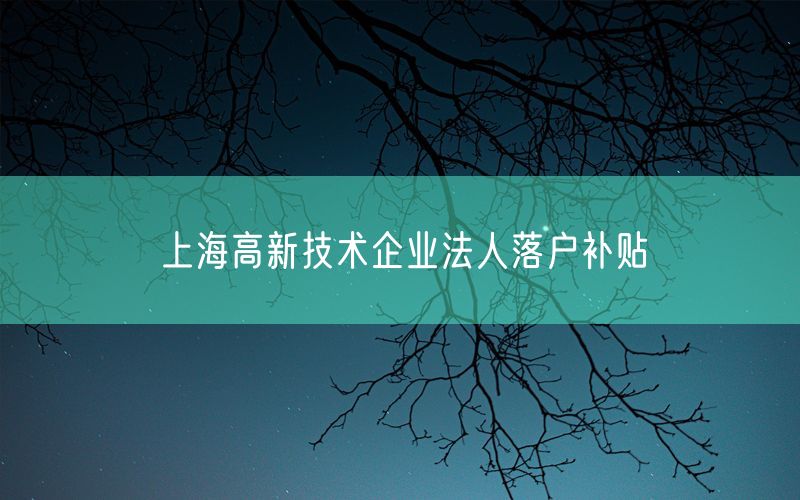 上海高新技术企业法人落户补贴