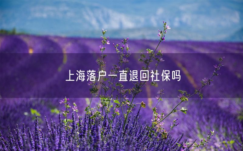 上海落户一直退回社保吗