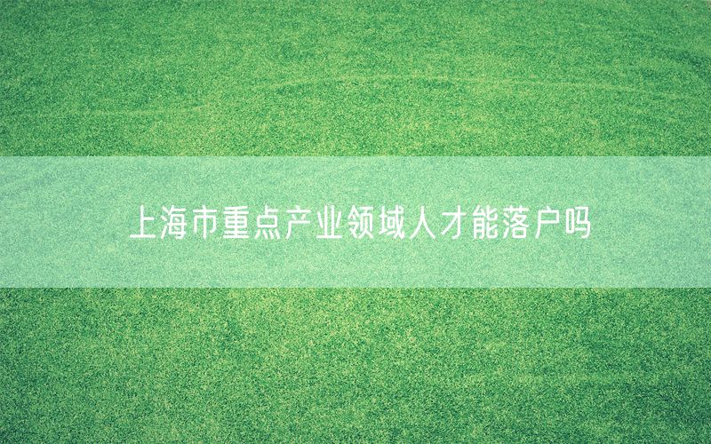 上海市重点产业领域人才能落户吗