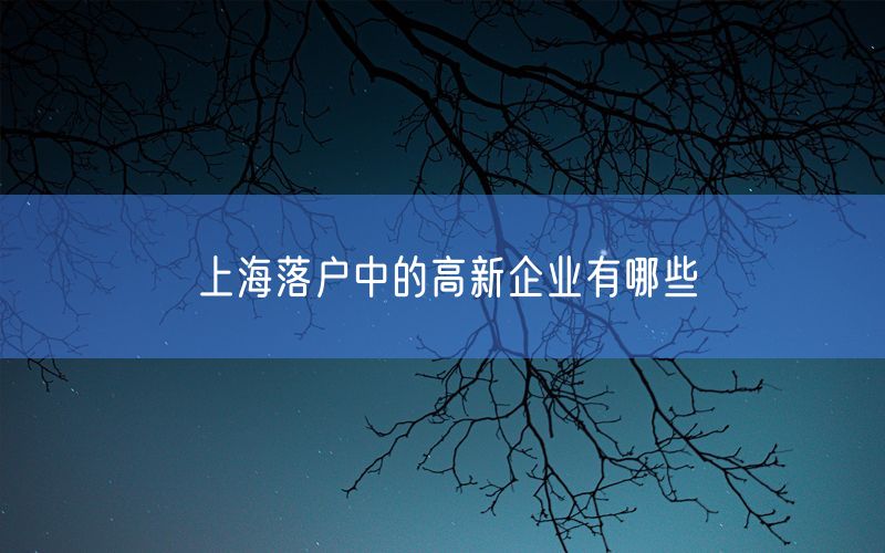 上海落户中的高新企业有哪些