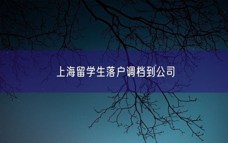 上海留学生落户调档到公司