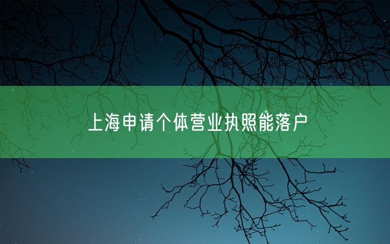 上海申请个体营业执照能落户