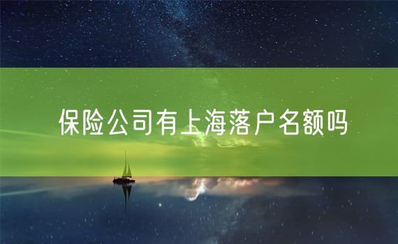 保险公司有上海落户名额吗