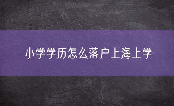 小学学历怎么落户上海上学