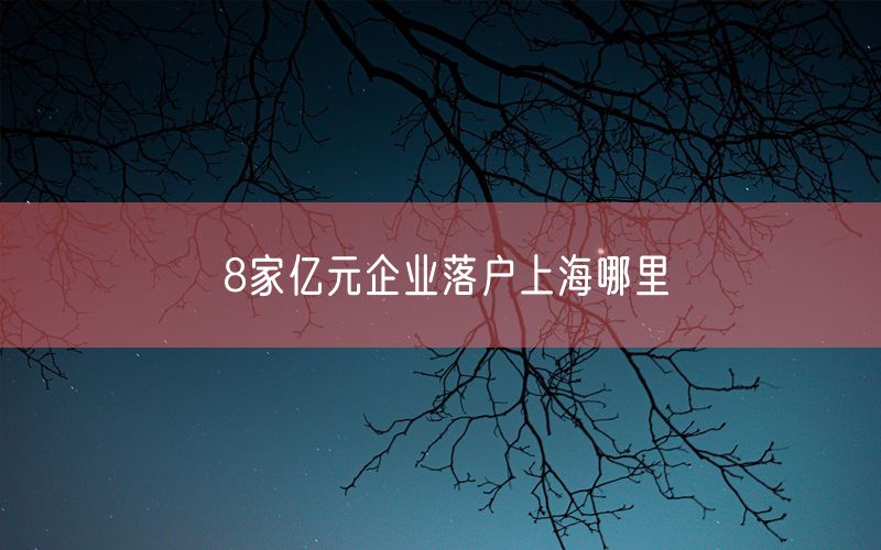 8家亿元企业落户上海哪里