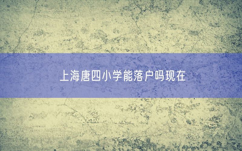 上海唐四小学能落户吗现在