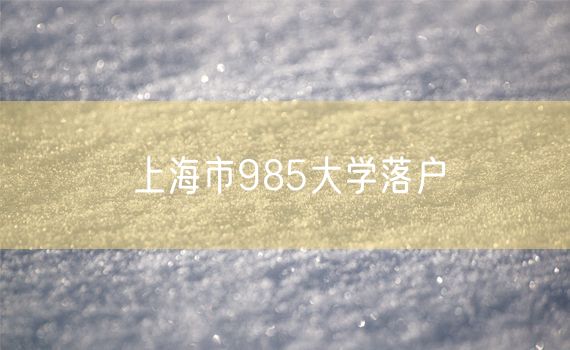 上海市985大学落户