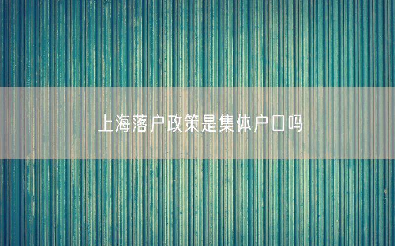 上海落户政策是集体户口吗