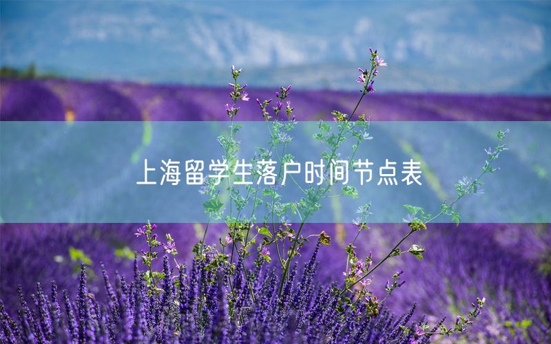 上海留学生落户时间节点表