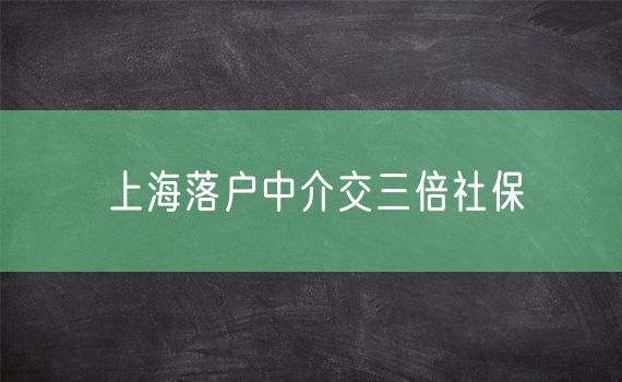 上海落户中介交三倍社保