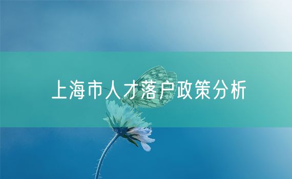 上海市人才落户政策分析