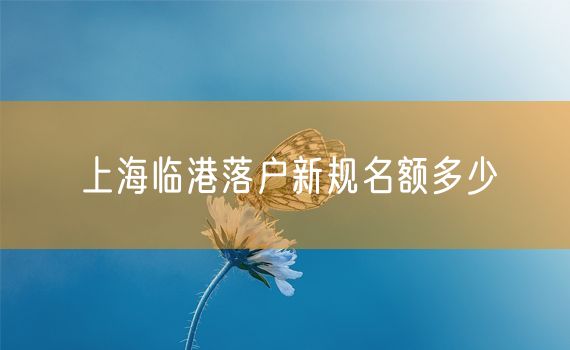 上海临港落户新规名额多少