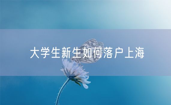 大学生新生如何落户上海