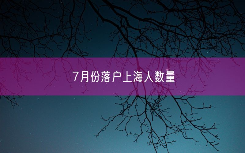 7月份落户上海人数量