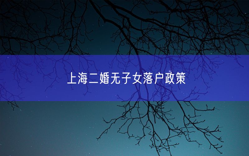 上海二婚无子女落户政策