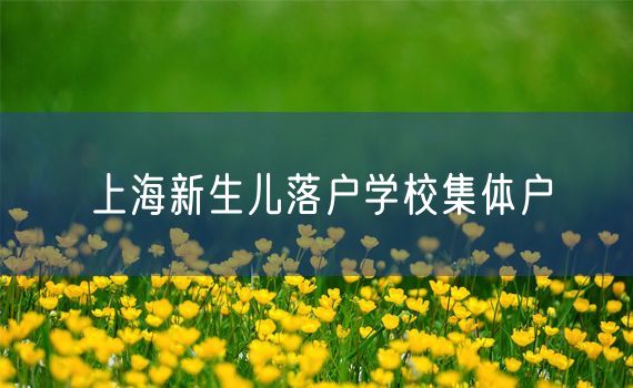 上海新生儿落户学校集体户