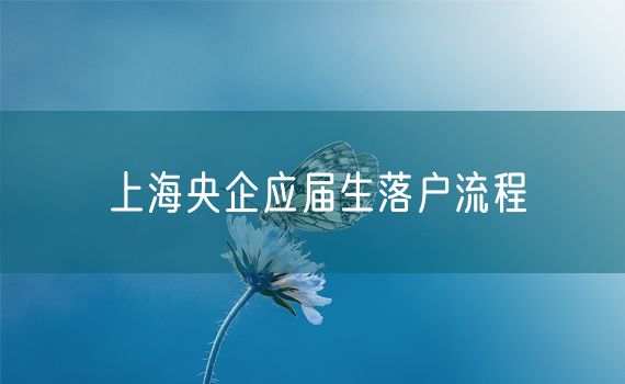 上海央企应届生落户流程