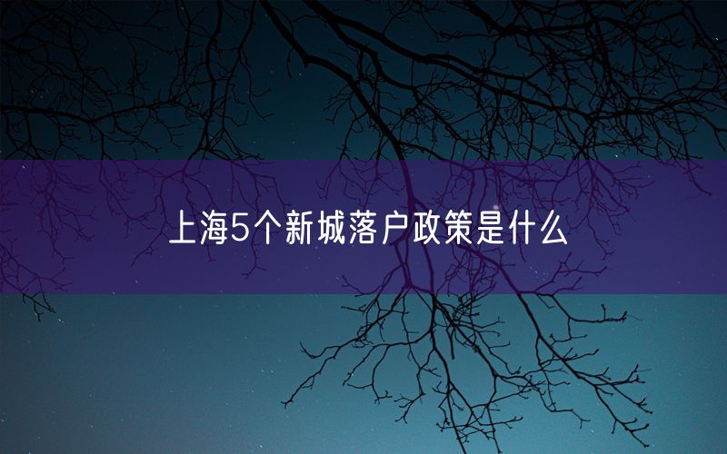 上海5个新城落户政策是什么