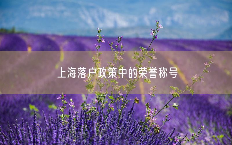 上海落户政策中的荣誉称号